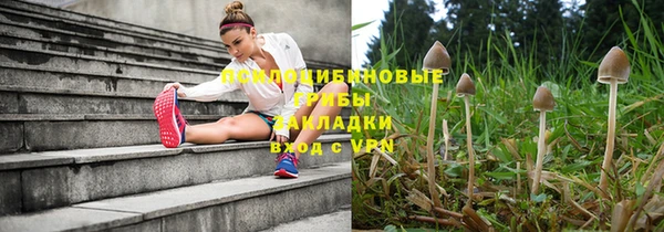 синтетический гашиш Алексеевка
