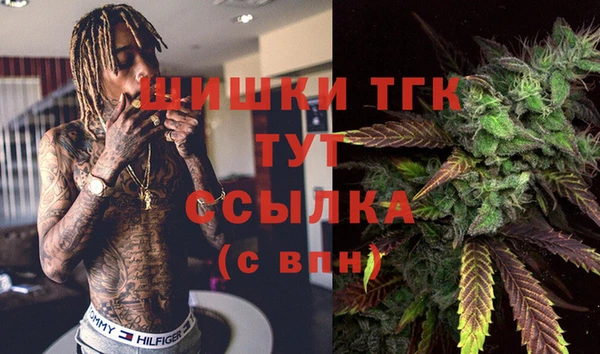 ГАЛЛЮЦИНОГЕННЫЕ ГРИБЫ Алексин